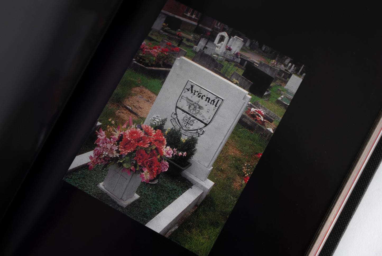 Logo R.I.P.