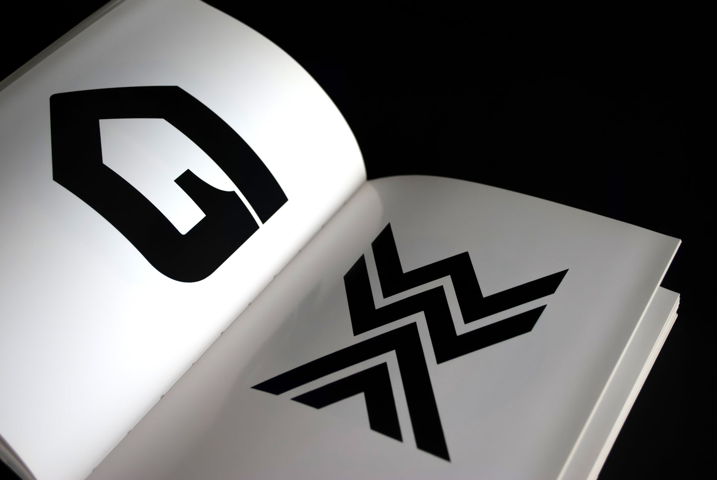 Logobook 200