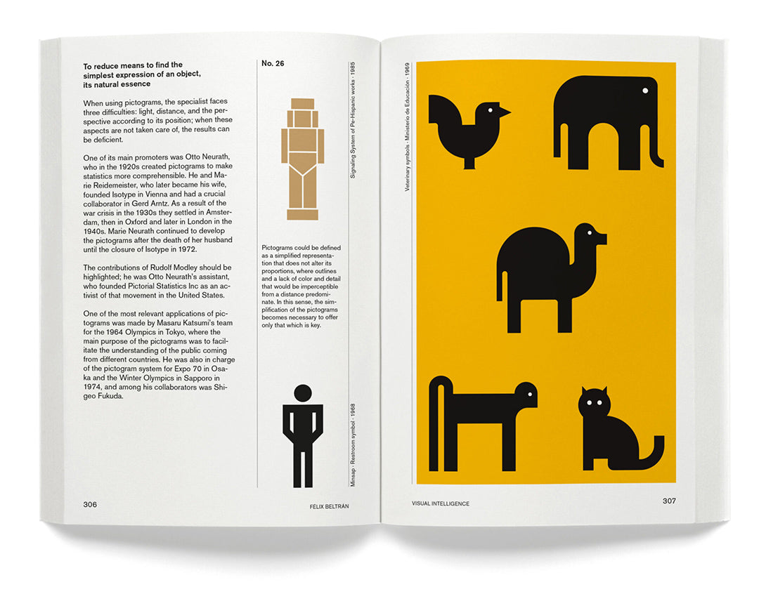 Félix Beltran: Visual Intelligence